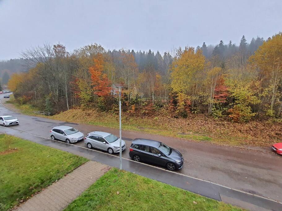 Two-Bedroom Apartment Near Triberg Waterfall Triberg im Schwarzwald Kültér fotó