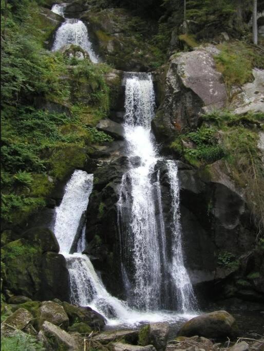 Two-Bedroom Apartment Near Triberg Waterfall Triberg im Schwarzwald Kültér fotó